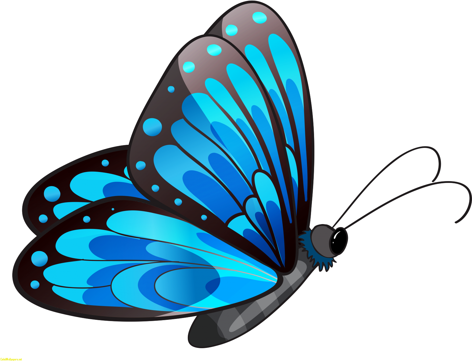 Blue Butterfly Transparent Blue Butterfly Png Clipart - Butterfly Clip Art Png (1600x1234)