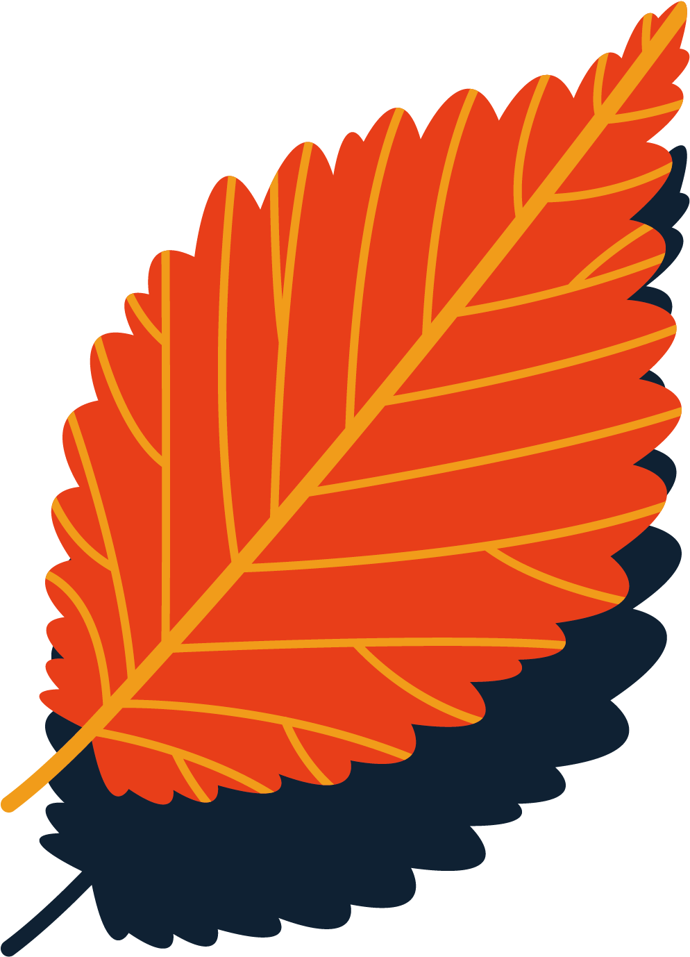 Autumn Leaves Vector Background - Illustration (1232x1535)