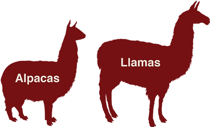 Alpaca That For You - Llama Silhouette (437x328)