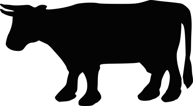 Cow, Cattle, Silhouette, Animal, Milk - Cow Silhouette Png (619x340)