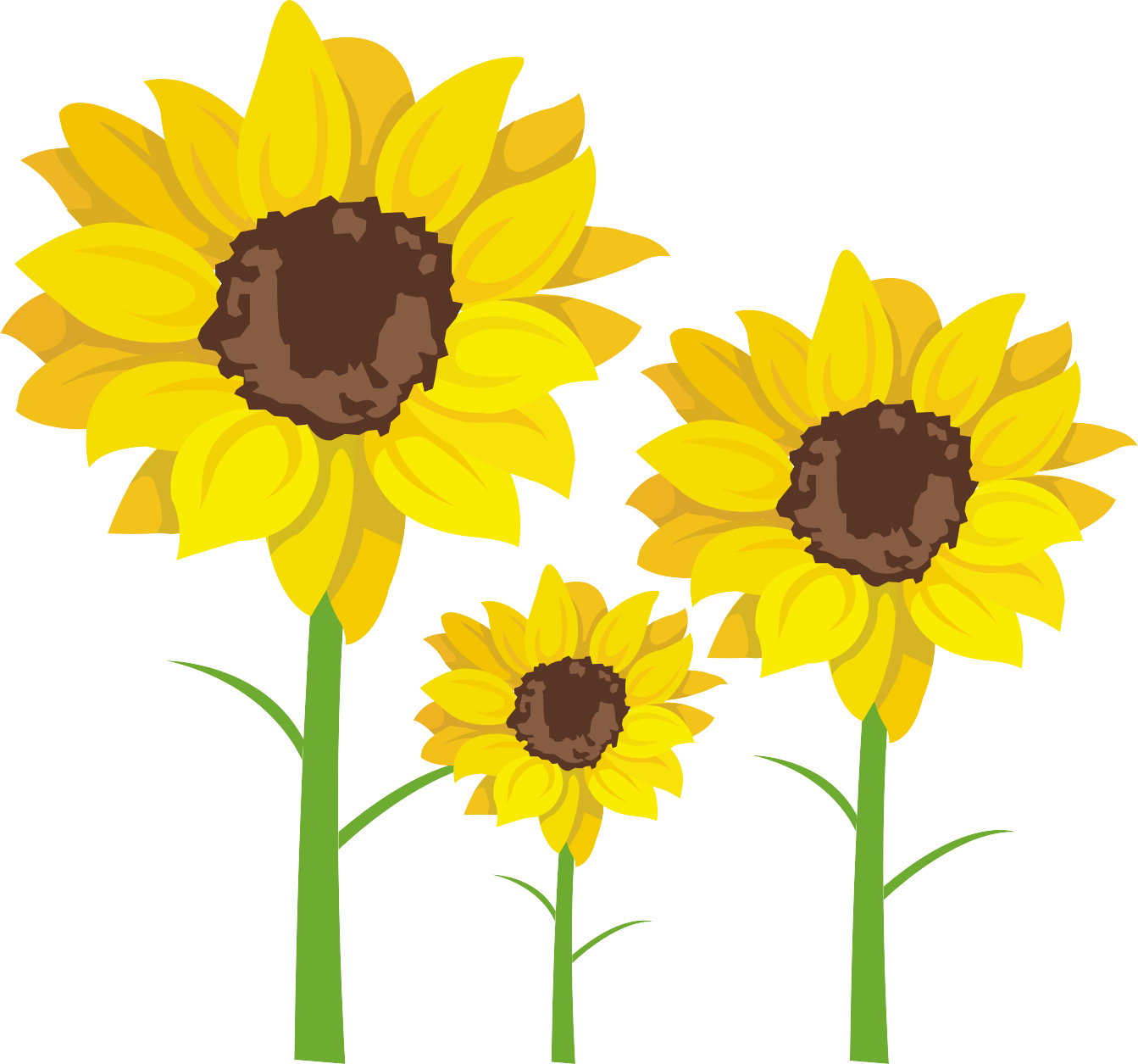 Common Sunflower Sunflower Seed Clip Art - Common Sunflower (1343x1255)