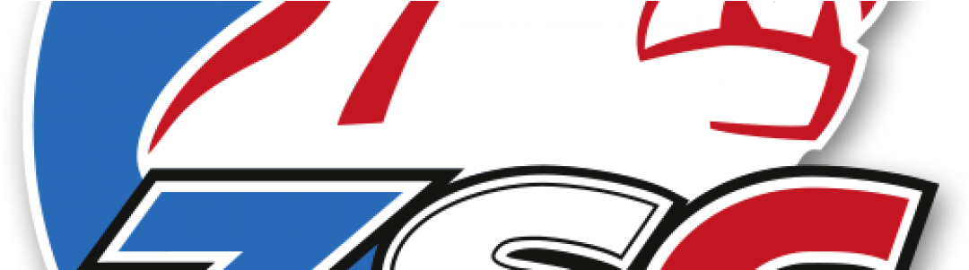 Gck/zsc Lions Nachwuchs Setzen Auf My Ice Hockey - Zsc Lions (1100x300)