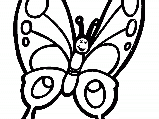 Black And White Butterfly Pictures - Butterfly Color Sheet (640x480)