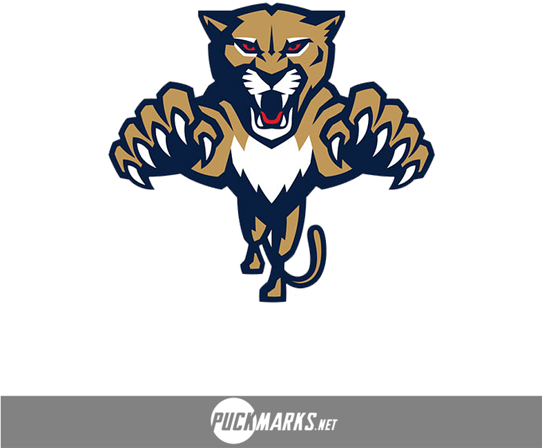 Florida Panthers Secondary Logo - Florida Panthers Helmet Logo (784x784)