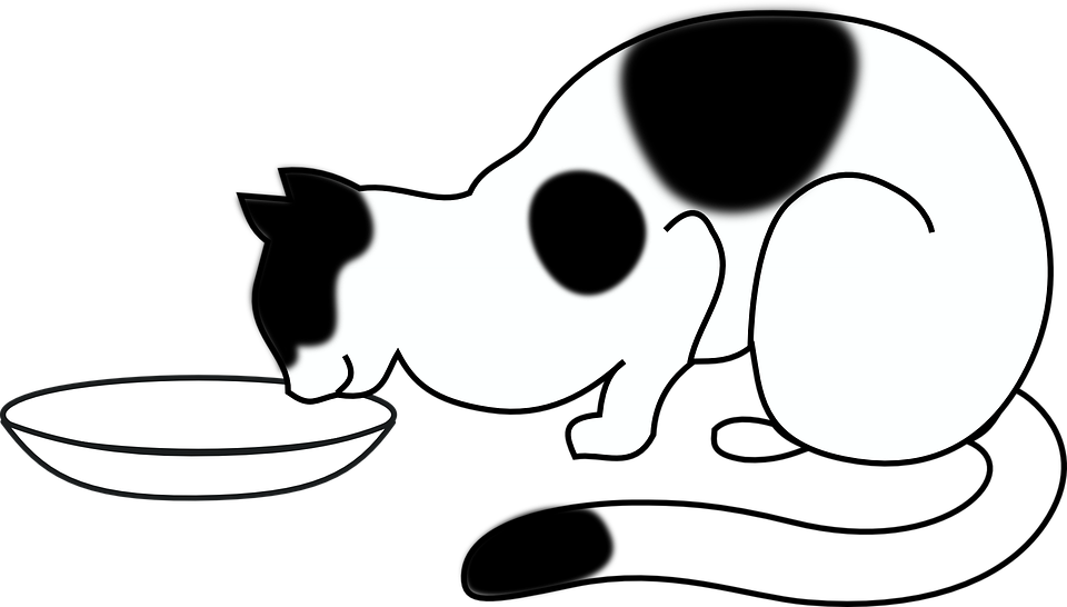 Clipart Of Encourage, Cats And Gathered - Clipart Of Encourage, Cats And Gathered (960x546)