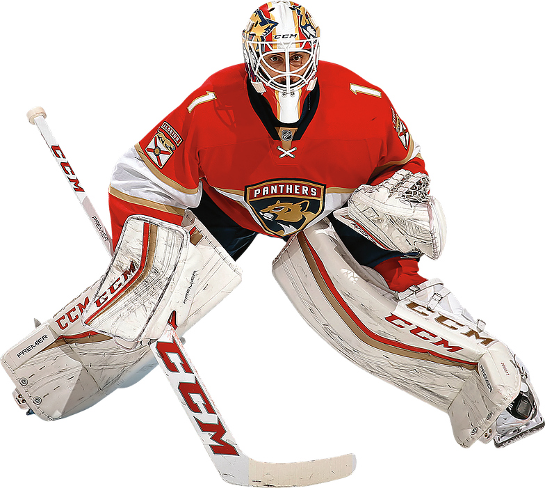 Roberto Luongo - Roberto Luongo Png (784x701)