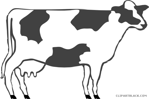 Grayscale Cow Animal Free Black White Clipart Images - Cow Clip Art (600x397)