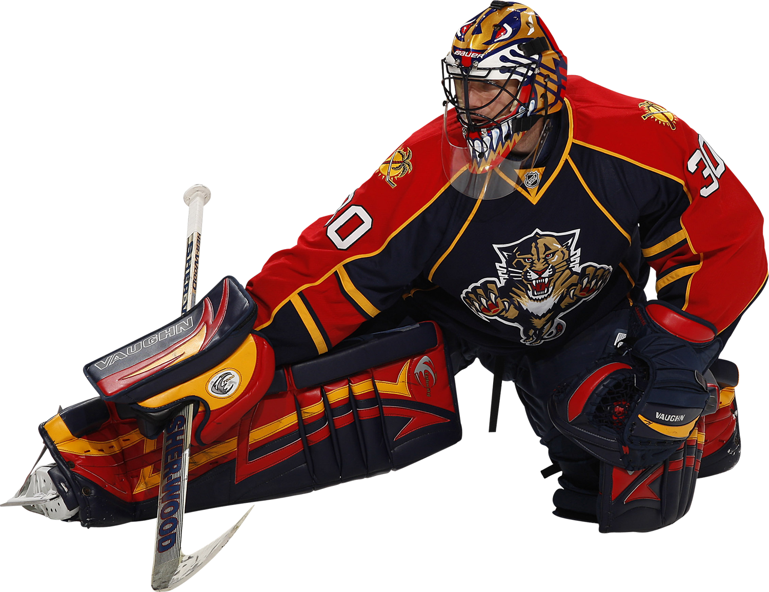 Alumni - Florida Panthers - - Scott Clemmensen Mask (1500x1155)