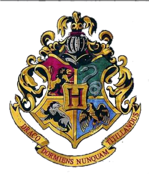 Hogwarts School Of Witchcraft And Wizardry (500x591)