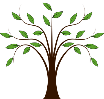 Forest Leaves Nature Plant Spring Tree Lea - Tree Free Clip Art (358x340)