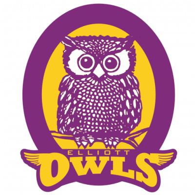 Zoo Field Trip-kindergarten Animal Reseach - Green Owl Coaster (400x400)
