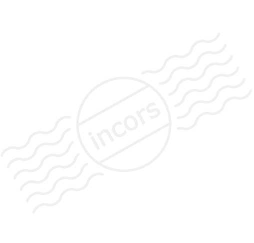 Skull Icon - Skull Transparent Icon White (512x512)