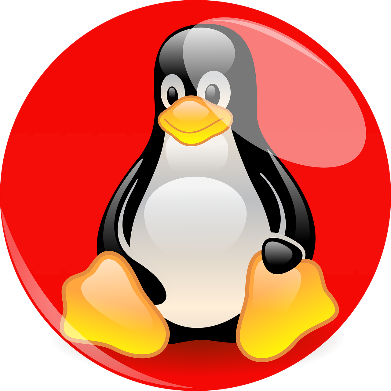 A Day In The Life Of Wilkes Barre Scranton Penguins - Transparent Linux Penguin Pointing Up (1280x1280)