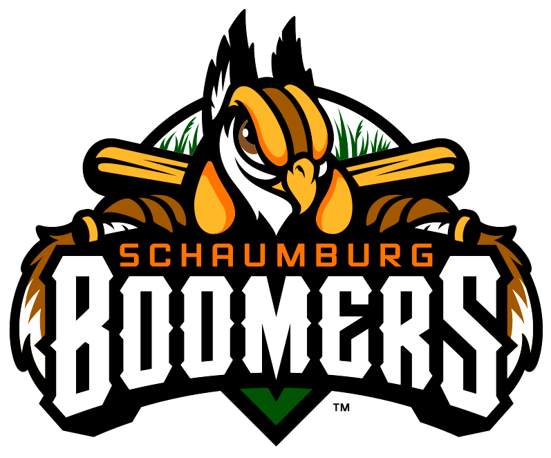 Fun Baseball Team Names (800x800)