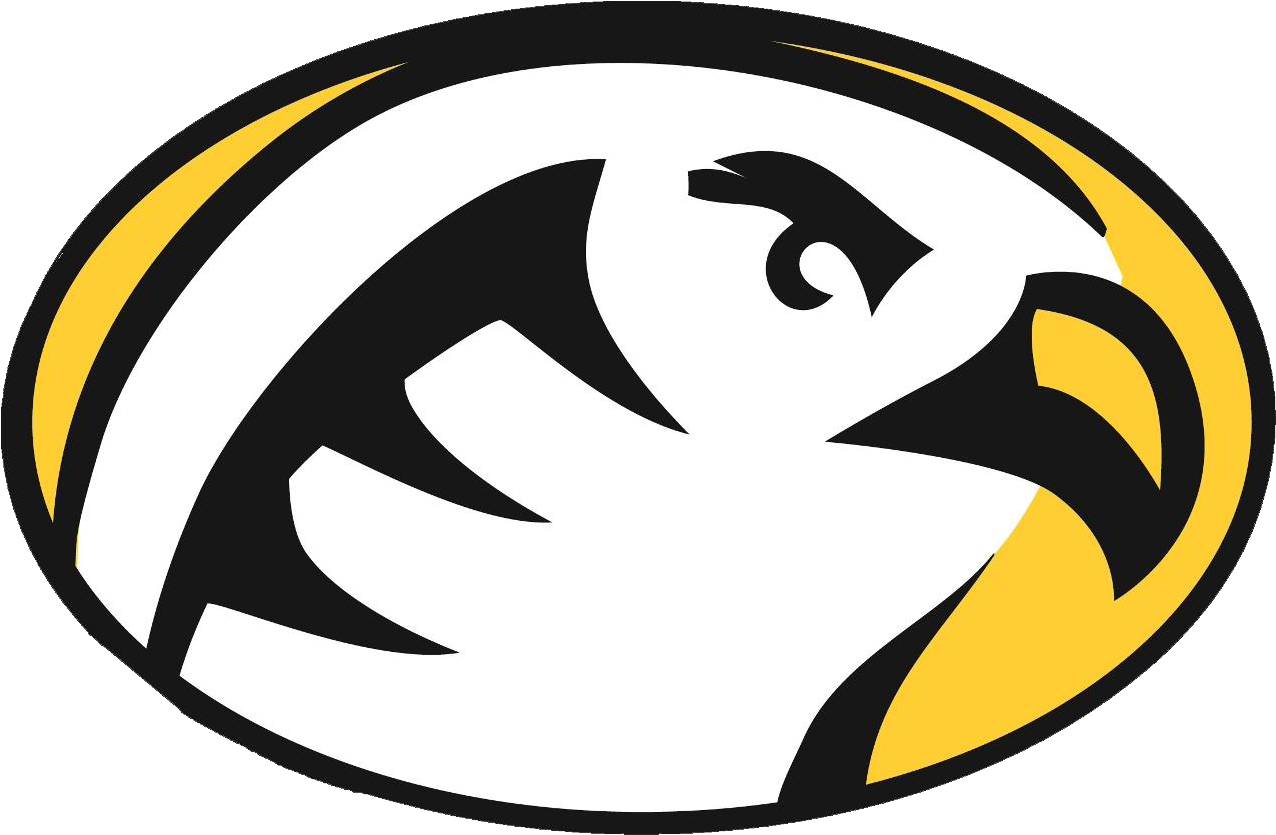 Cedar Crest Womens Field Hockey Data - Cedar Crest College Falcon (1275x1275)