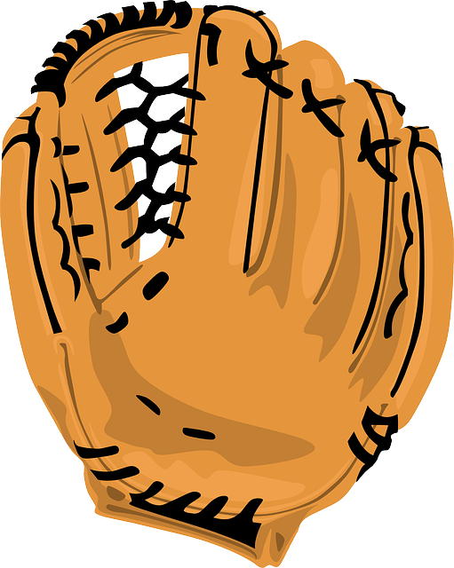 Catch - Baseball Glove Vector (511x640)