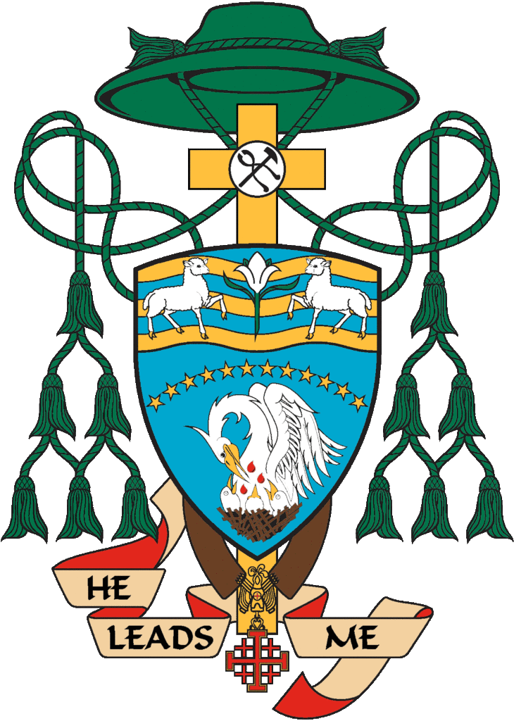 Coat Of Arms For Bishop Thanh Thai Nguyen - Bishops Coat Of Arms (730x1024)