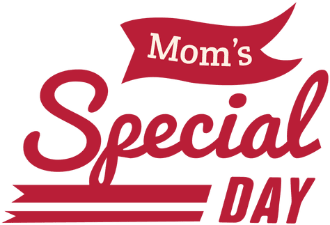 Badge Especial Do Dia Da Mãe Transparent Png - Champion Sports Official League Syn Leather Baseballs (512x512)