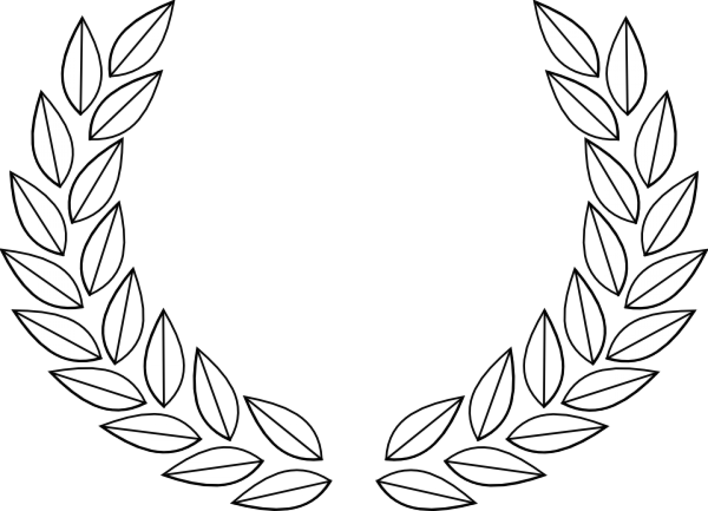 Olive & Wood - Folha De Louro Png (1440x1039)