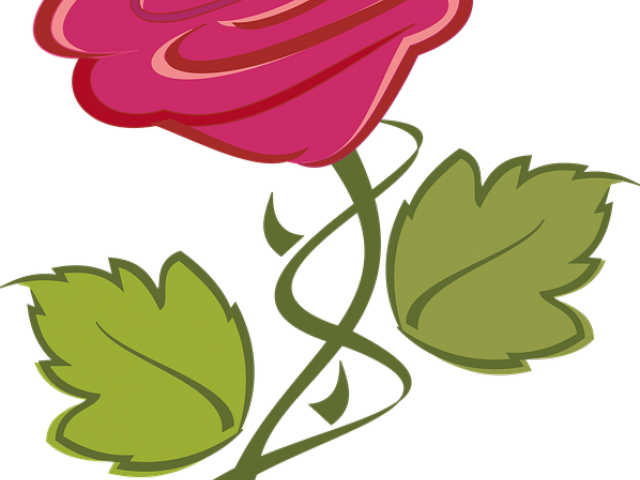 Clips Art - Beach Rose (640x480)