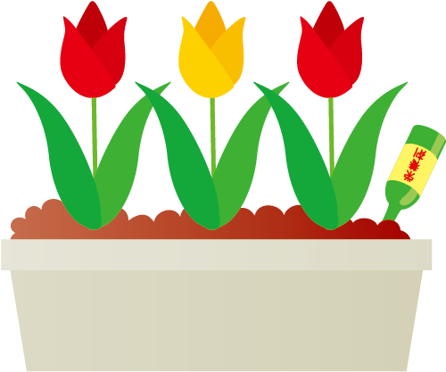 肥料の三大要素とは？ - Tulip (625x625)