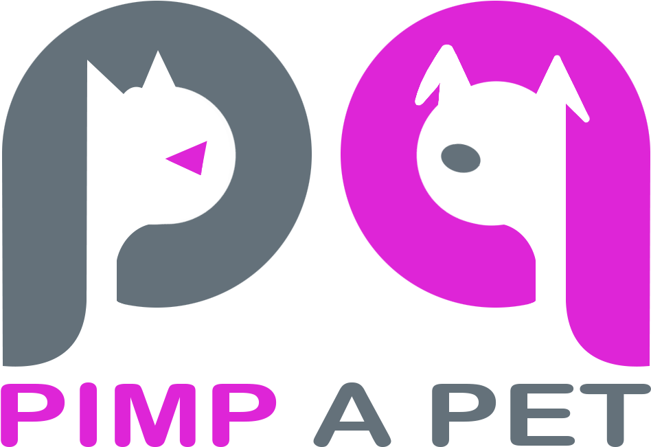 Pimpapet - Superman (1015x669)