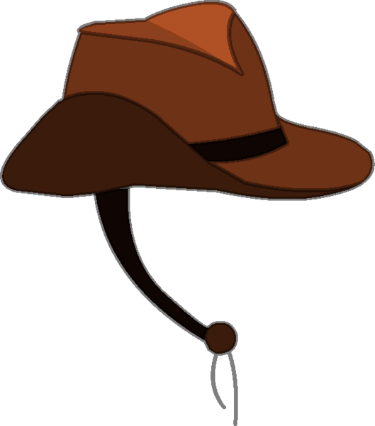 You Might Also Like - Sombrero De Vaquero Png (529x600)