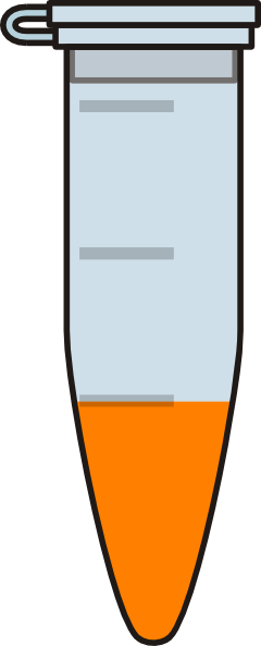 Eppendorf Tube (240x593)