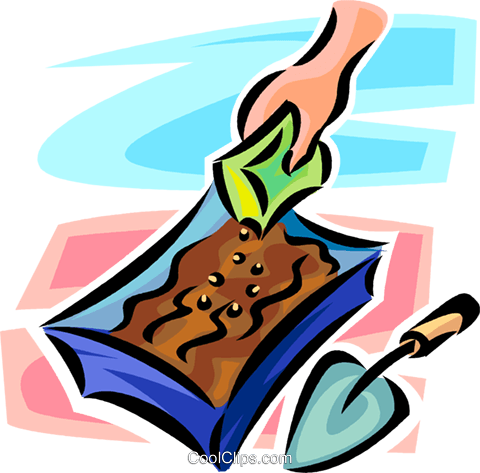 Planting Seeds In A Planter Royalty Free Vector Clip - Clip Art (480x473)