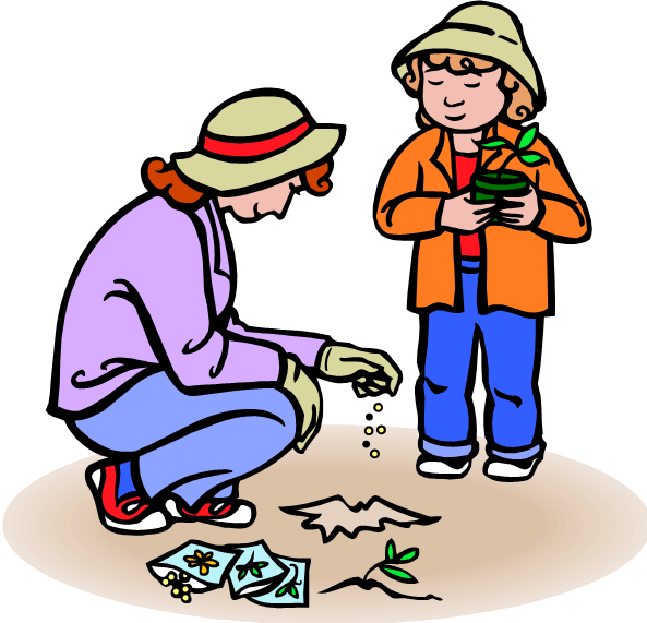 Planting Seeds Clip Art - Planting Flowers Clip Art (593x571)