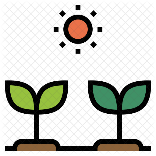 Grow Seed Icon - Outdoor Icon (512x512)