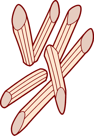 Clip Art Spaghetti Pasta Clipart Clipart Kid - Pasta Clipart (359x518)