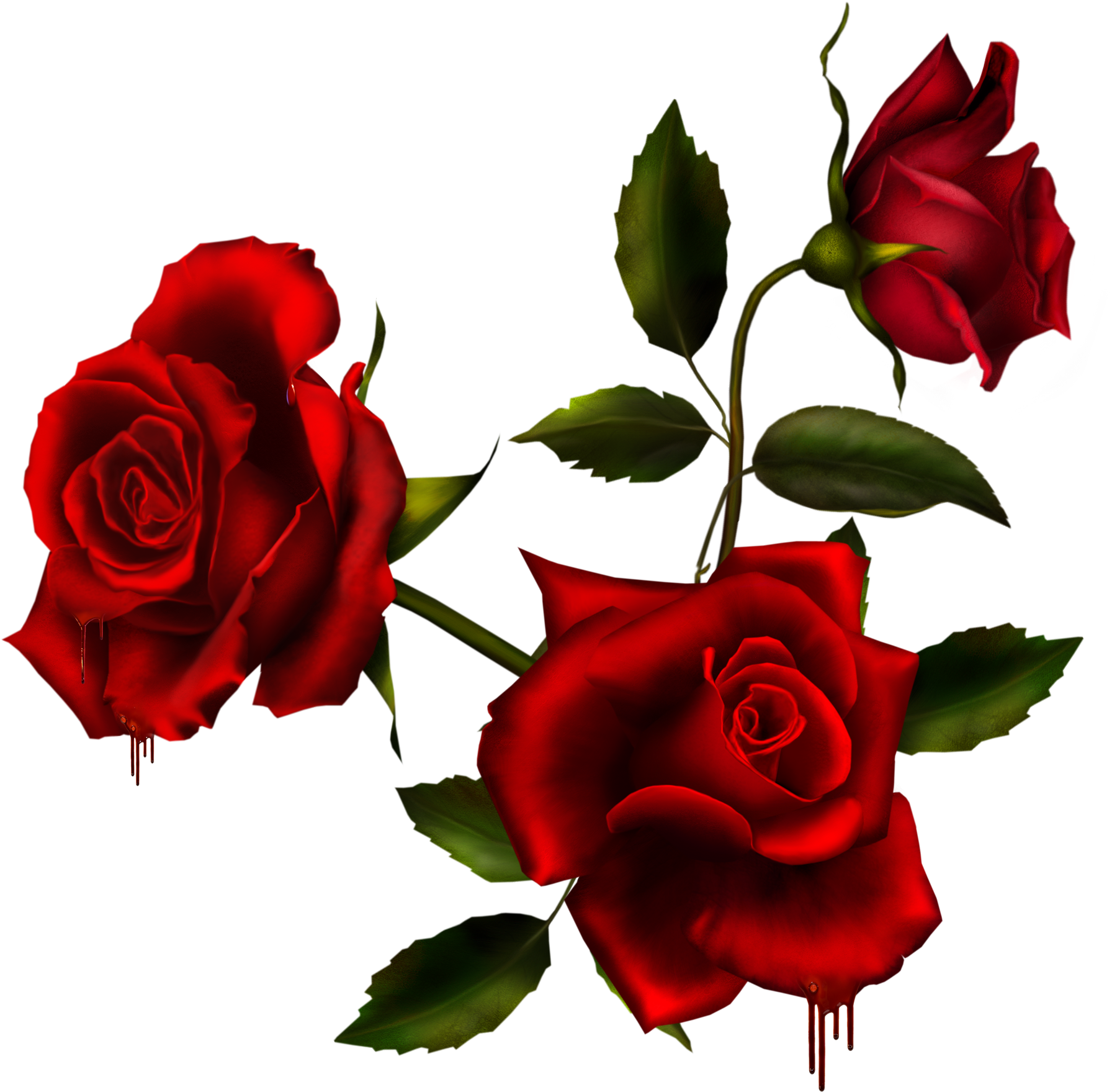 Rose Bouquet 3 By Autumnsmuse On Deviantart - 3 Red Roses Png (1844x1875)