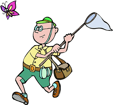 Clipart Green Frog Catching A Bug With A Net - Bug Catcher Clipart (400x357)