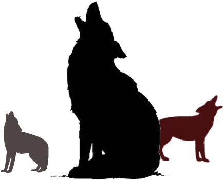 Coyote, The Trickster - Wolf Silhouette (500x500)