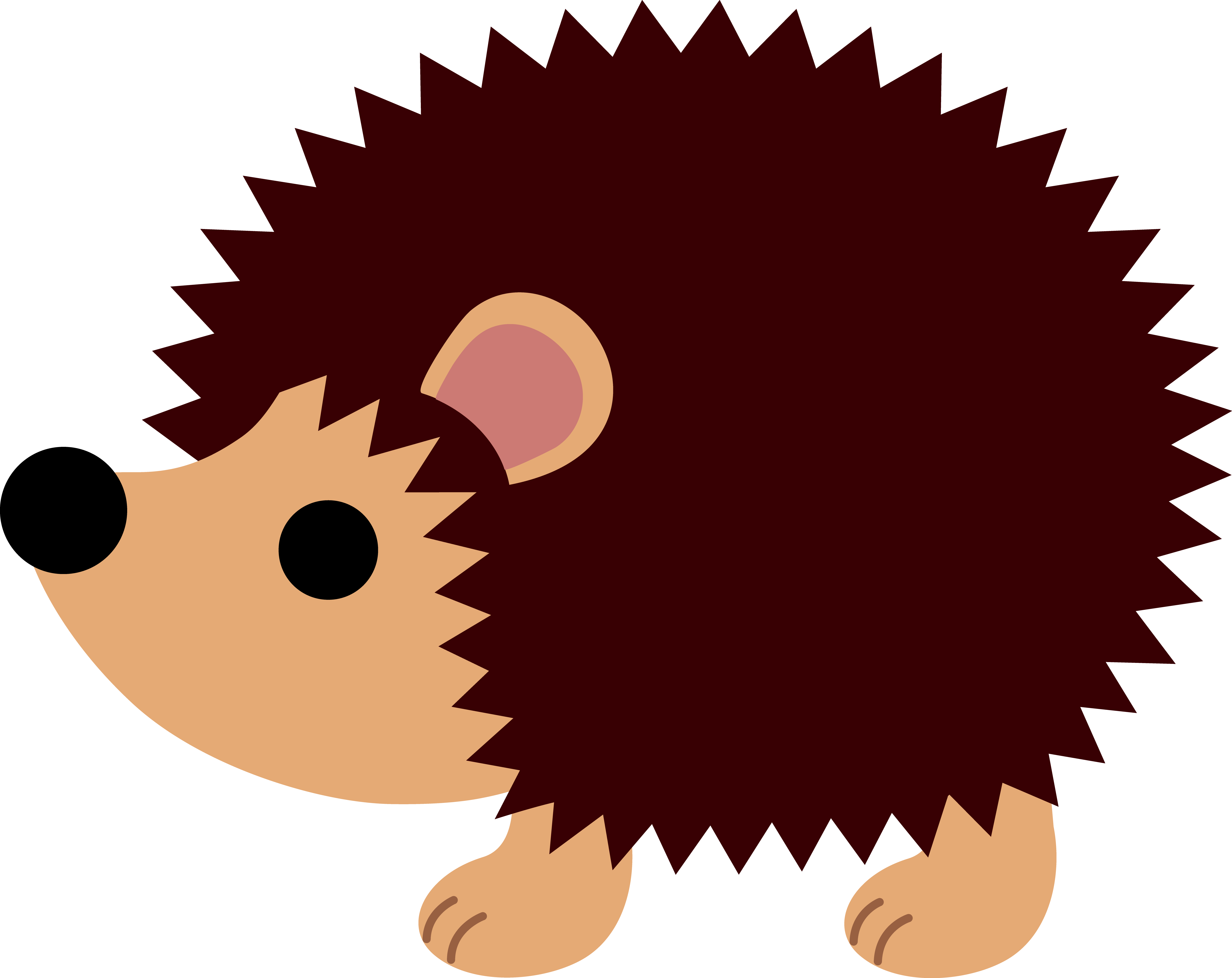 Cute Realistic Hedgehog Clipart - Hedgehog Clipart (6268x4975)