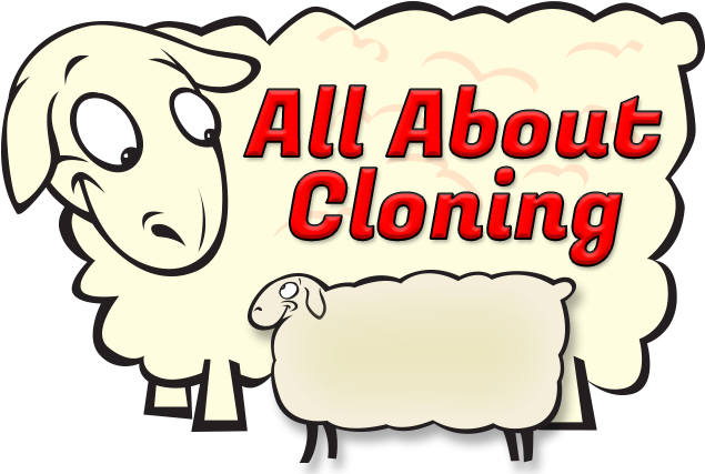 Sheep Clones Clip Art - Cloning Title (648x432)