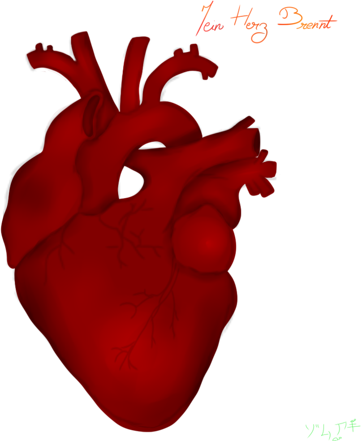 Mein Herz Brennt By Zomuaki By Zomuaki - Kooks (894x894)