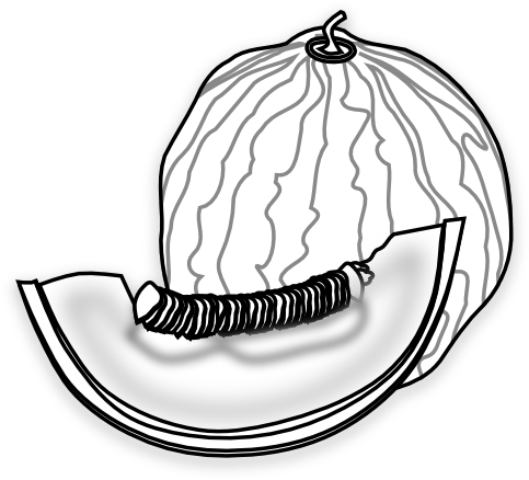 Melon Clipart Muskmelon - Clip Art (555x544)