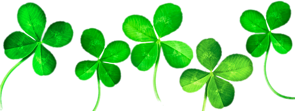 Four-leaf Clover Clip Art - Four Leaf Clover Clip Art (1000x562)
