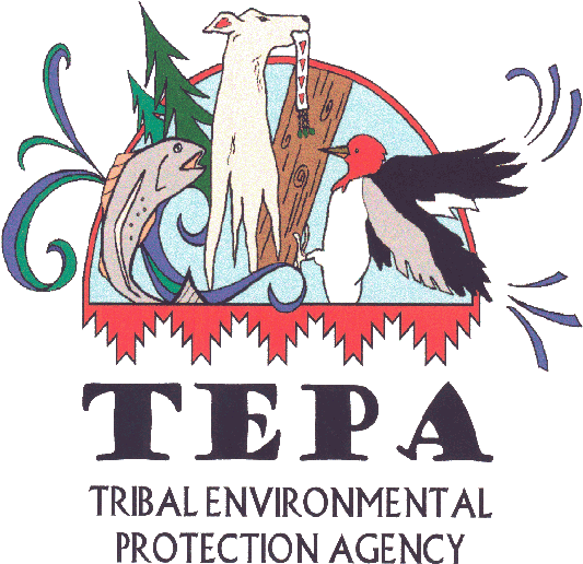 Flag Unavailable - Ox Drawing (550x550)