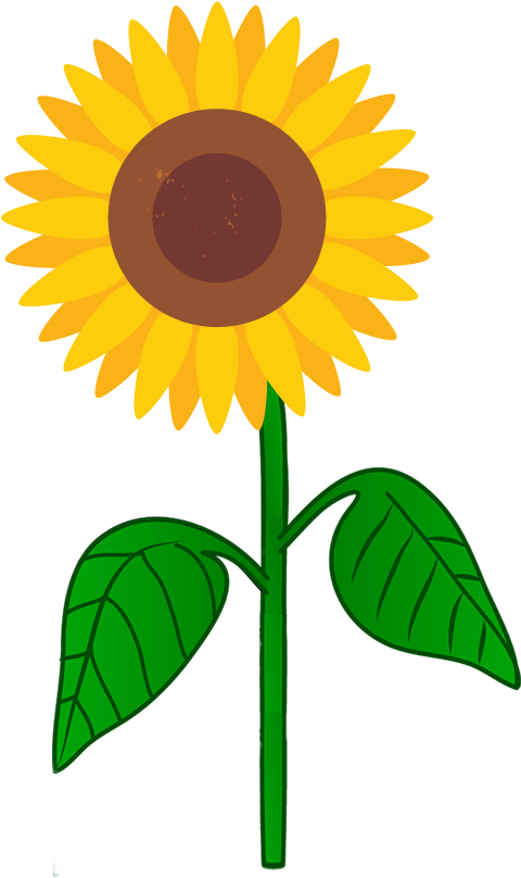 Batmaster Sunflower - 24in Paper Tissue Honeycomb Fans Purple/violet Birthday (665x830)