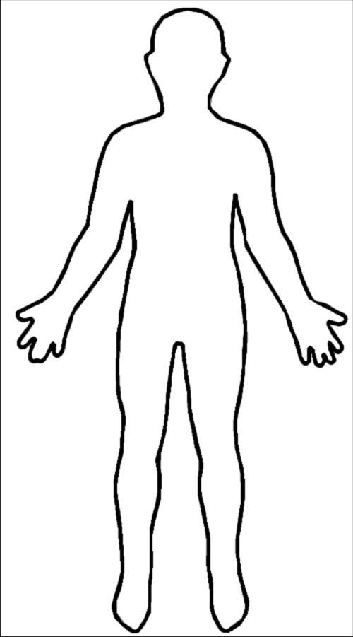 Human Body Outline Picture - Human Body Outline (500x901)