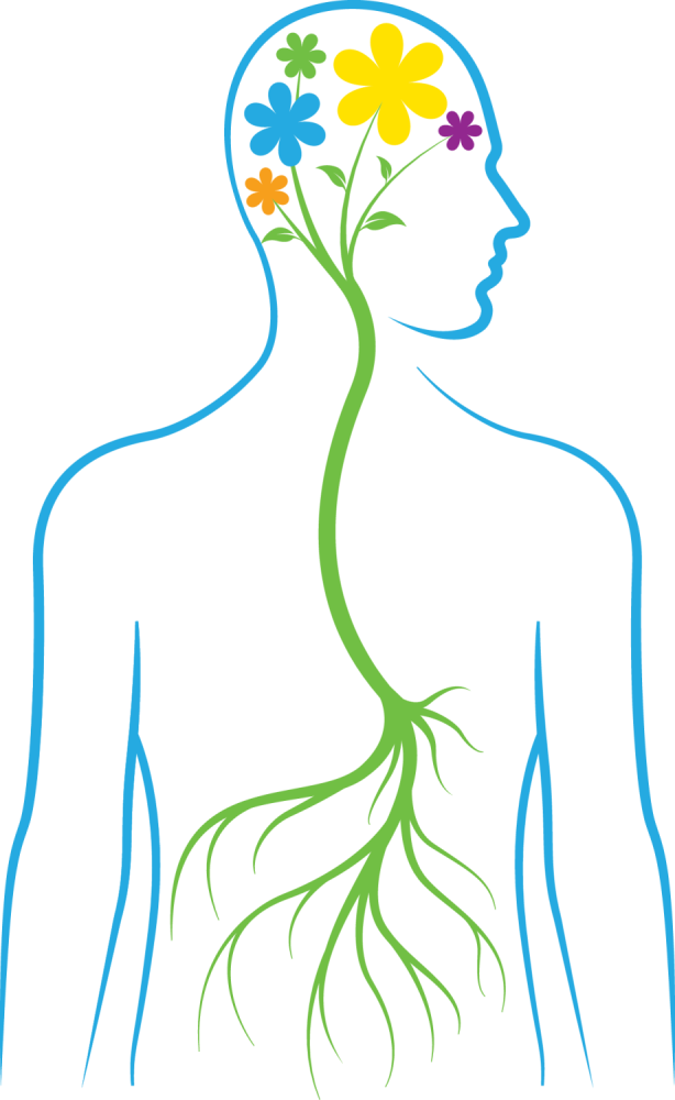 Click The Banner Below To Learn More About Me And The - All Health Begins In The Gut (614x1000)