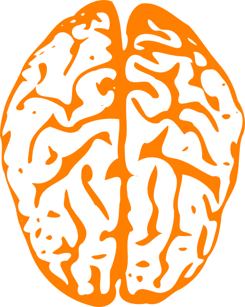Medical Diagram Of Brain Clip Art Free Vector / 4vector - Animated Brain (818x1024)