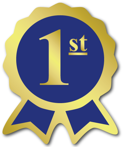 1st Place Ribbon Dorit Mercatodos Co Rh Dorit Mercatodos - 1st Prize Ribbon Png (500x500)