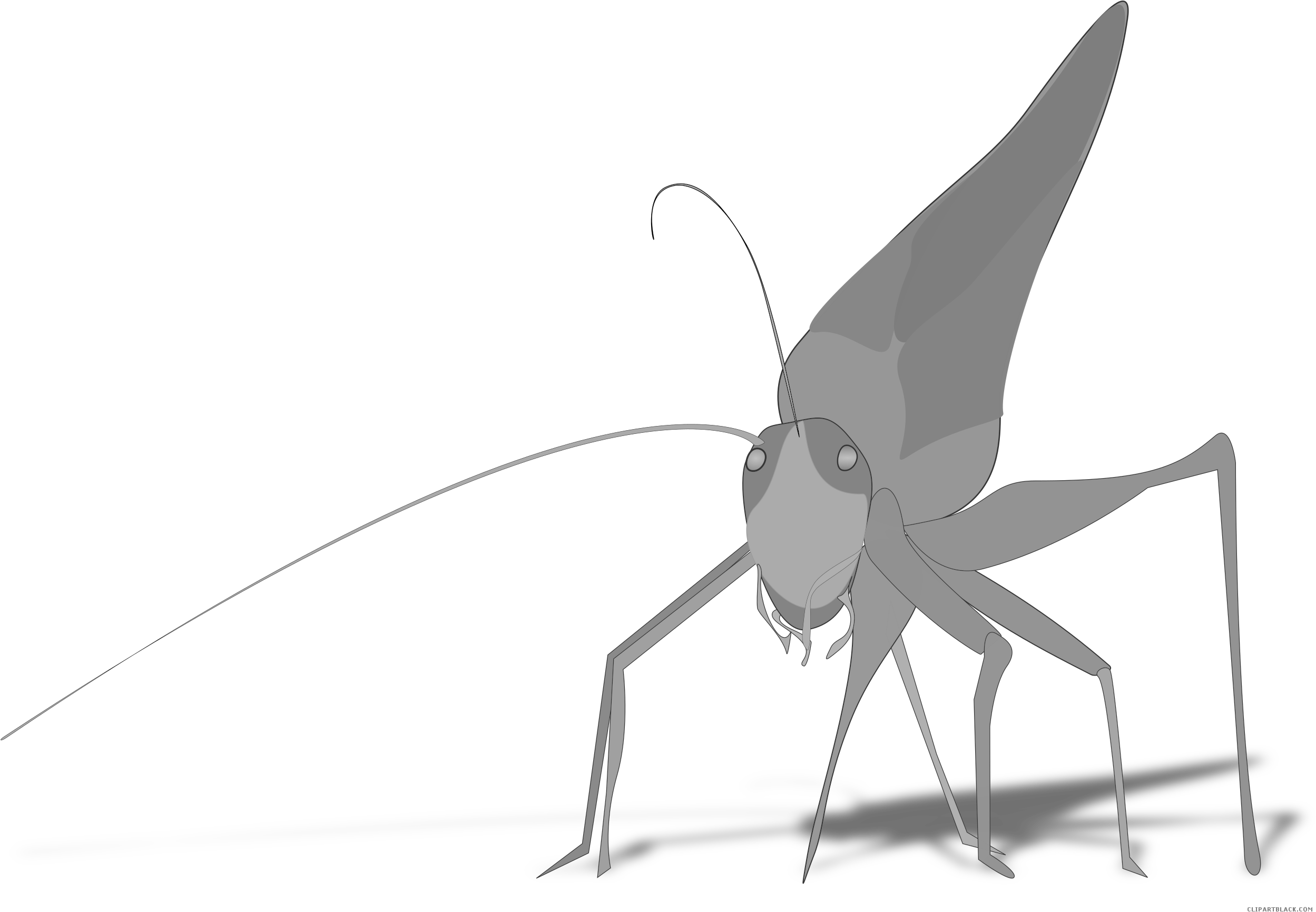 Grasshopper Animal Free Black White Clipart Images - Grasshopper Clipart (2500x1739)