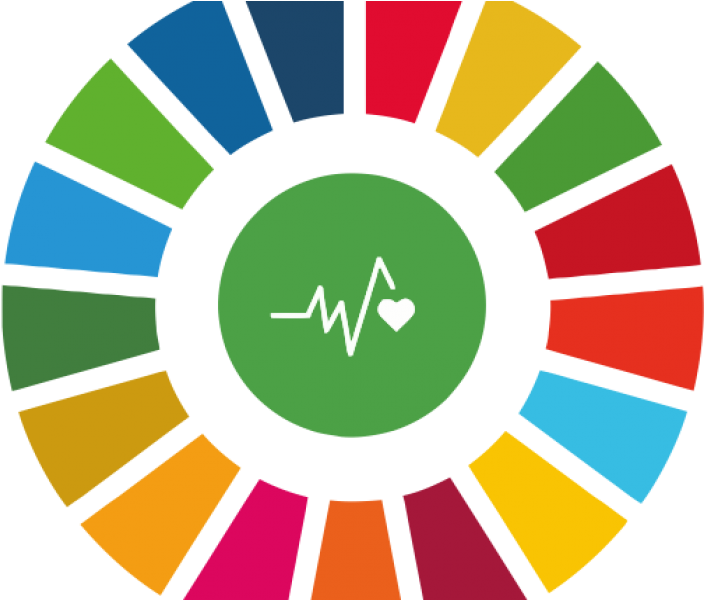Simpósio Sobre Envelhecimento Debate Mortalidade Prematura - Global Goals (750x599)