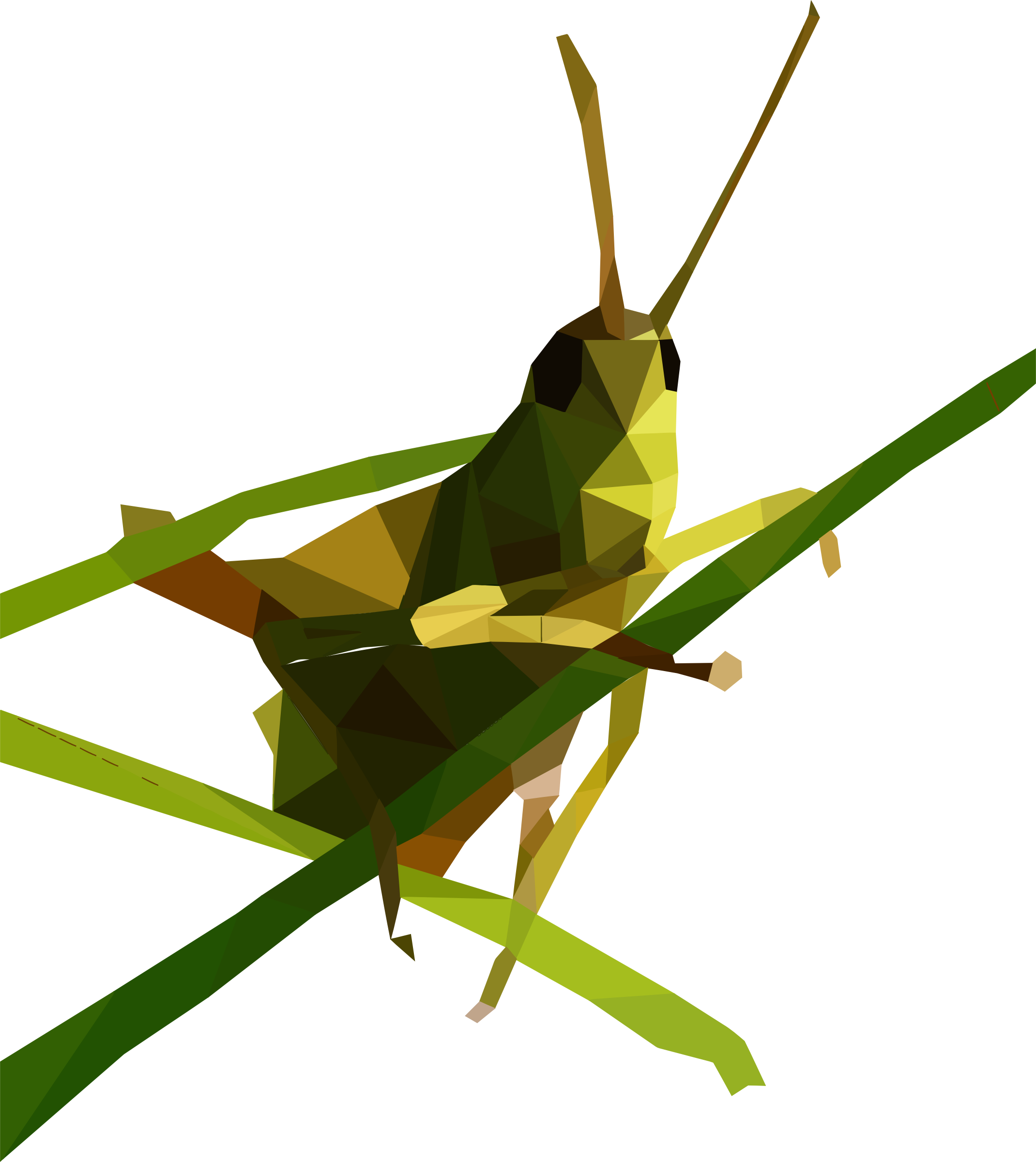 Poly Grasshopper - Low Poly Grasshopper (2140x2400)