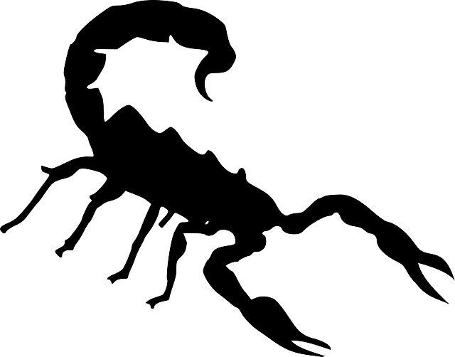 Clipart Info - Scorpion Clipart (640x502)